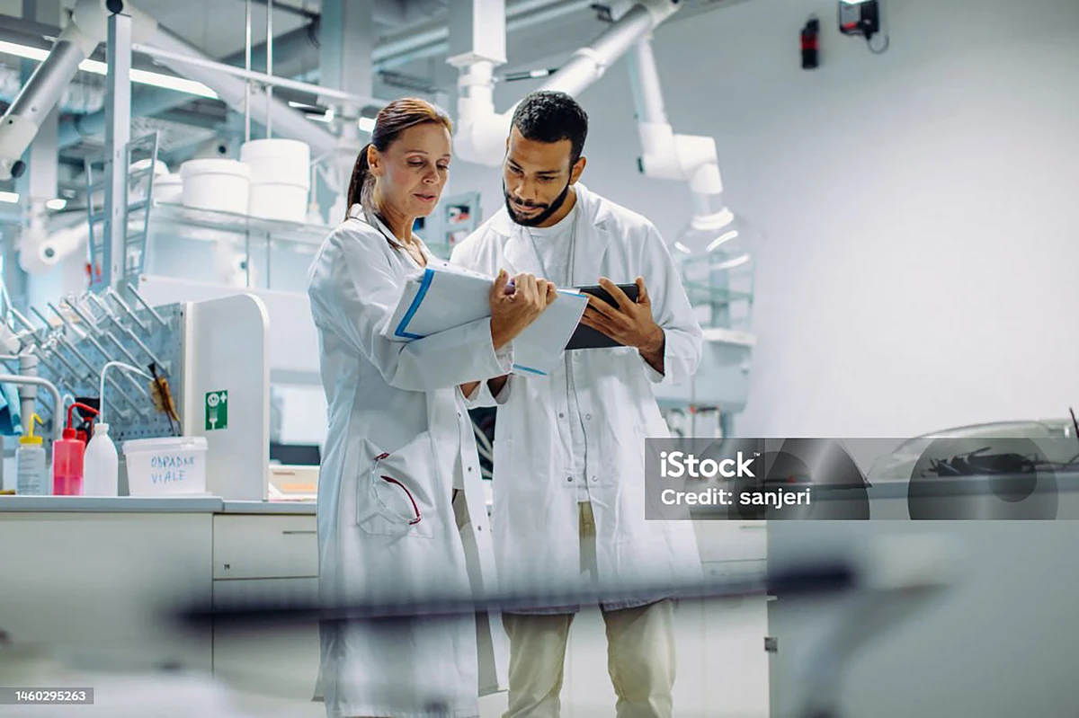 Istockphoto 1460295263 1024x1024 Life Science R&D: Forschungsdaten beherrschbar machen